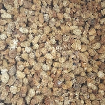 Toptan Yerli Dut Kurusu Ekonomik 12kg Diğer