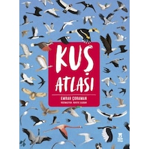 Kuş Atlası - Rxlu-619199