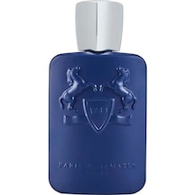 Parfums De Marly Percival Erkek Parfüm EDP 125 ML