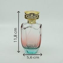 Parfüm Şişesi 100 ML 3 Adet Çift Renkli Oval Model
