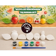 Meyveleri Öğreniyorum Taş Boyama Seti 7 Obje + 6 Renk Boya + 1 Fırça + Boyama Sertifikası