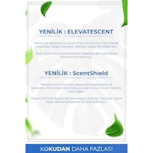 Auran Nefes Açıcı Nane Ve Okaliptüs Esansiyel Uçucu Koku Yağı Buhurdanlık Yağı Difüzör Esansı Küre 10ml Abundance Prosperity