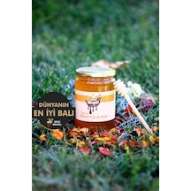 ORGANİK (850GR) ÇİÇEK BAL