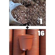1 lt kaktüs sukulent yetiştirme toprağı ve 16 adet 5.5 cm saksi