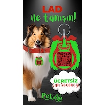Petjoo 23.Lad Yeşil-Kırmızı Qr'lı Köpek Künyesi