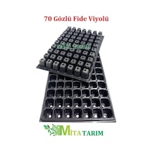Fide Viyol, 70 Göz, 10 Adet, Fidelik, Fide Viyolü, Fide (307184829)