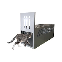 Yeni Model Daha Etkili Kedi Canlı Yakalama Kapanı