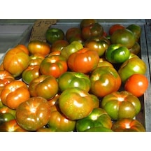 Mis Kokulu Yayla Domatesi Tohumu 20 Domates Tohumu + Tohum