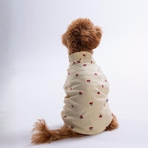 Cherry Glow Kiraz Desenli Kedi Köpek Sweati - Kedi Köpek Kıyafeti-kedi Köpek Sweati