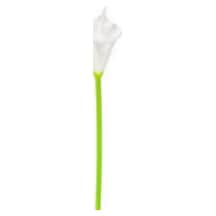 Yapay Calla Tek Dal Beyaz 35 Cm Çok Renkli