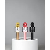 Karaoke Mikrofon Bluetooth Usb Aux Girişli Taşınabilir