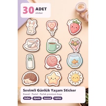 30 Adet Günlük Yaşam Sticker Seti - Laptop Defter Telefon İçin Çok Renkli