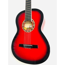 Carissa Cg-160 Tam Boy Sap Ayarlı Gitar