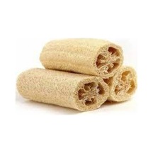 100 Adet Tohum Eko Paket Lif Kabak Tohumu Kabak Tohumu Lif Kabağı Tohumu Süpriz Hediye Tohum..