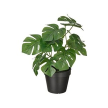 Yapay DeveTabanı Bitkisi MeridyenDukkan 12Cm Monstera Çiçeği İç-Dış Mekana Uygun