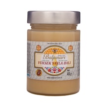 Balpınarı Yüksek Yayla Çiçek Balı Beyaz Bal 450 G
