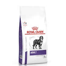 Royal Canin Vet Diet Adult Large Dog 13kg Osteoartiküler Ve Gastrointestinal Destek