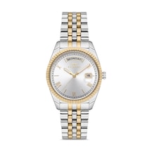 Ferro Fl21131a-d Quartz Çelik Altın/gri 35 Mm Kadın Kol Saati Gri