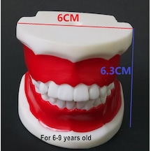 1 Adet Çocuklar İçin Diş Eğitim Modeli/Standart Diş Çocuk Diş Modeli Çocuk Diş Diş Modeli Öğretim Eğitim Ağız Bakımı 1 Pc For 6-9 Years Old