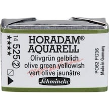 Schmincke : Horadam Aquarell Artist Sulu Boya : Tam Tablet : Seri 2 525 Olive Green Yellowish