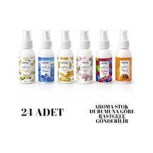 24pcs