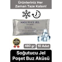 Premium Güvenli Dayanıklı Malzeme Seyahat Yolculuk Yiyecek Soğutucu Jel Poşet Buz Aküsü 480gr 10adet Çok Renkli