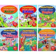 Muhteşem Çıkartmalar ve Aktiviteler Serisi 6 Kitap