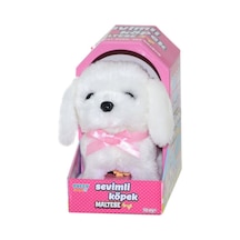 47100 Sevimli Köpek Maltese - Beyaz