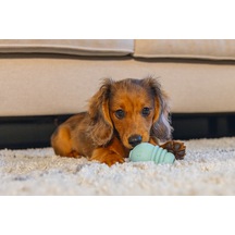 Beeztees - 801 - Yavru Köpek Sumo Mını Dental - Edntrend - Oyuncak Xs