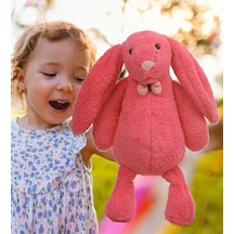 Led Işıklı, Uyku Arkadaşı Uzun Kulak Bunny Peluş Tavşan 65cm 001