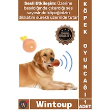 Oyuncak Dayanıklı Vinil İnteraktif Eğlenceli Isırma Diş Kaşıma Pet Köpek Sesli Oyuncak Tavuk Butu
