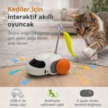 Nunbell Kedi Oyuncagı Hareketli Araba