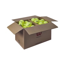 Wilson WR8201501 Triniti Club 72'li Kutuda Tenis Topu