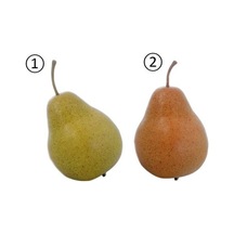 Çok Renkli