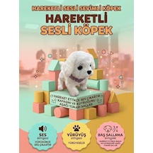 Çok Renkli