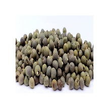 Doğal Bamya Tohumu 1000 GRam