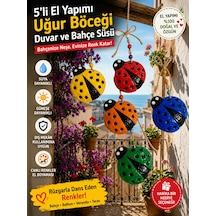 Şanslı Uğur Böceği Dekor Seti