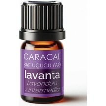 Caracal %100 Saf Lavanta Yağı 5ml Doğal Lavanta Uçucu Yağı 5 ML