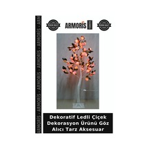 Çok Renkli