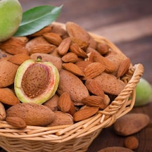 Özel Seçim Ilıman Sahil Bölgeler İçin Uygun Olan Aşılı Badem Fida