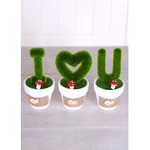 Yapay Çiçek Deposu Dekoratif Saksıda 3lü Love You Dekoru