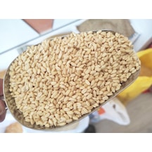 Kargı Yöresel Yerli Aşurelik Buğday 10 KG