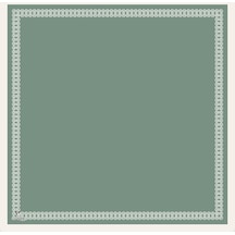 Lavinse Scarf La'vınse Çerçeveli Eşarp Lav27102 001