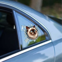 9072696505900lmr - Larimar Fulcar Siamesse Araç Stickerı