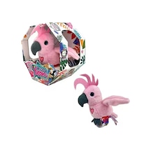 Eco Lounge Slap Bant Konuşan Ve Taklit Eden Cockatoo