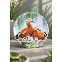 Dekoratif Duvar Tabağı - Göl Kenarında Ördek Ailesi 27 Cm - Dekorlu Seramik Tabak