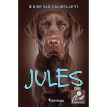 Jules - Didier van Cauwelaert - Domingo Yayınevi