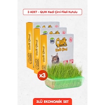 3 Adet Doğal Kedi Çimi Fileli Ve Kutulu Tüy Yumağı Önleyici