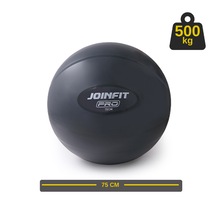 Pro Anti-burst Yoga Ve Pilates Topu Koyu Gri 75 Cm