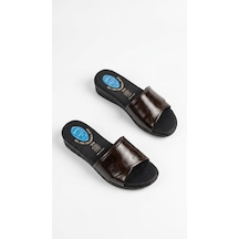 Kahverengi